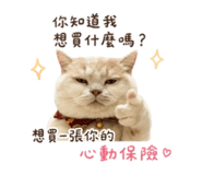 858127057