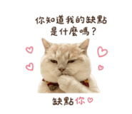 858127058