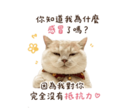 858127059
