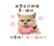 858127060
