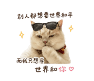 858127062