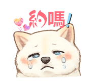 858127091