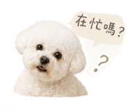 858128031
