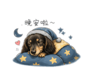 858129087