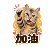 858129246