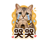 858129256