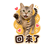 858129271