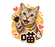858129276