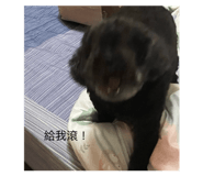 858130136