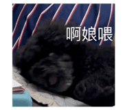 858130166