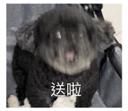 858130168