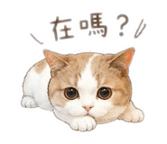 858133098