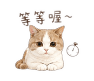 858133099