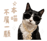 858133186