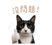 858133190