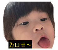 858133600