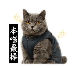 858142393