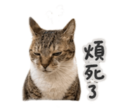 858143370