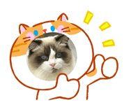 858145586