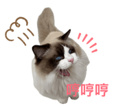 858145591