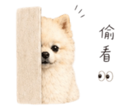 858146354