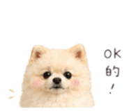 858146376