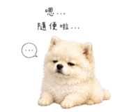 858151707