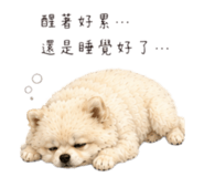 858151709