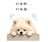 858151716