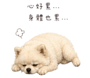 858151721