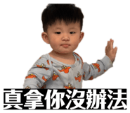 858154156