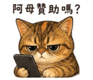 858154602