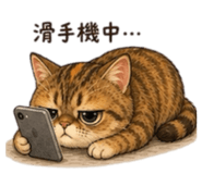 858154611