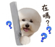 858154635