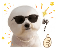 858154663