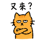 858154699