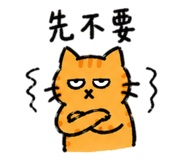 858154707