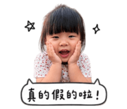 858154788