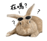 858154917