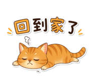 858156801