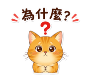858156814