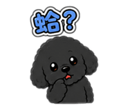 858157357