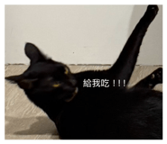858158149