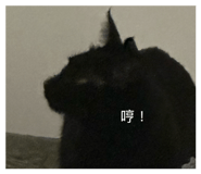 858158155