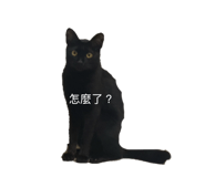 858158159