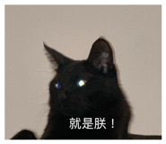 858158162