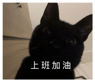 858158171