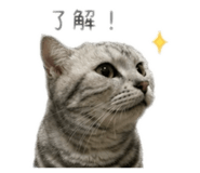 858159691