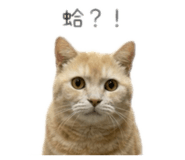 858159693