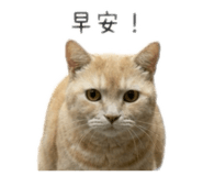 858159699